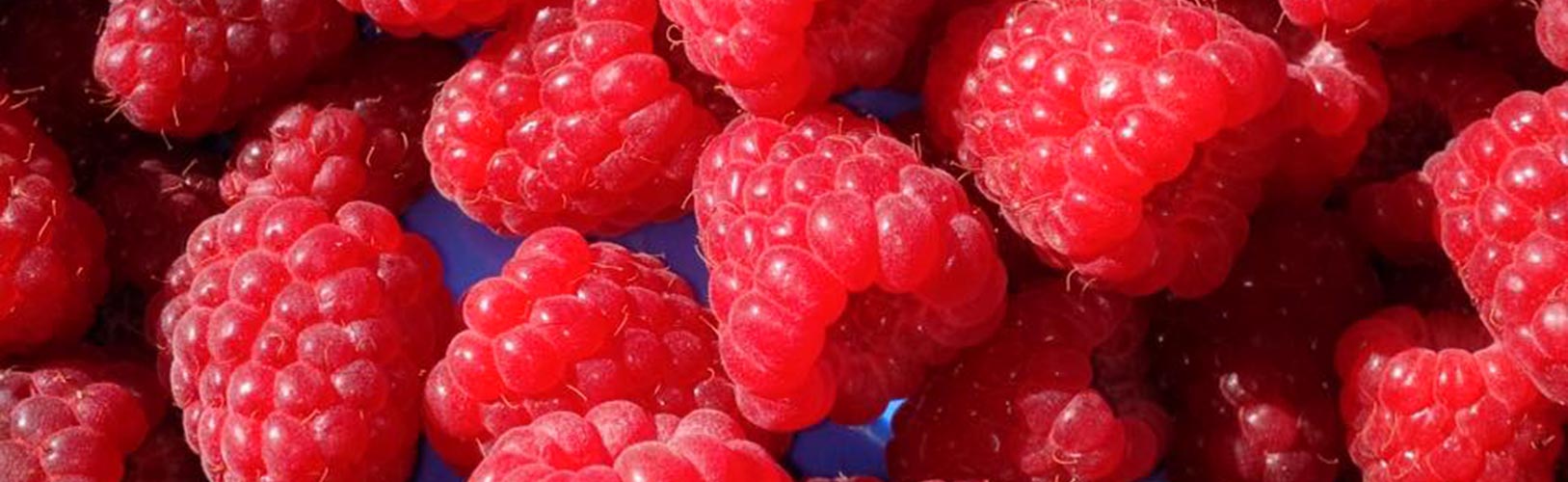 Raspberry picking machine