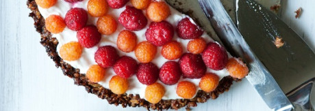 raspberry-yogurt-tart