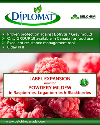 Bechim Powdery Mildew Raspberry label expansion